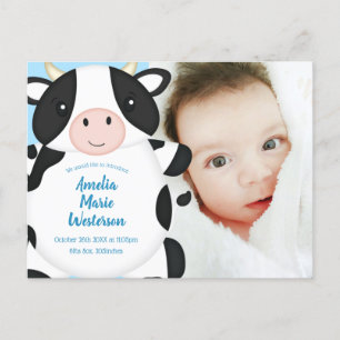 Cow Baby Shower Blue Postcard