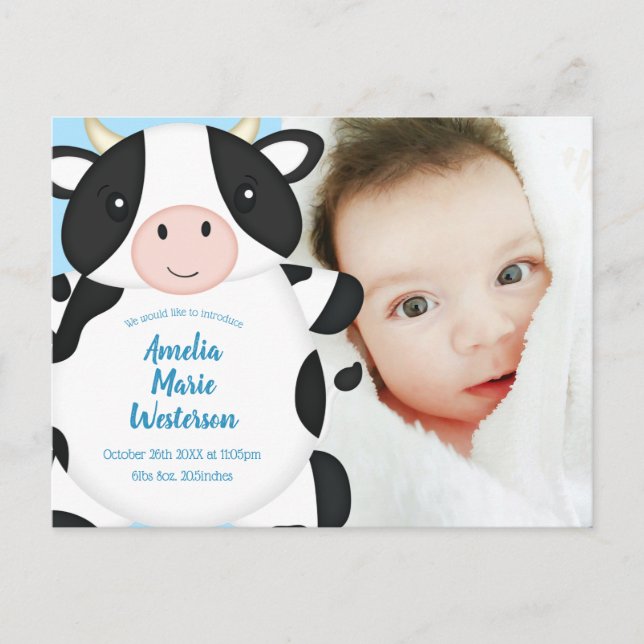 Cow Baby Shower Farm  Postcard (Front)