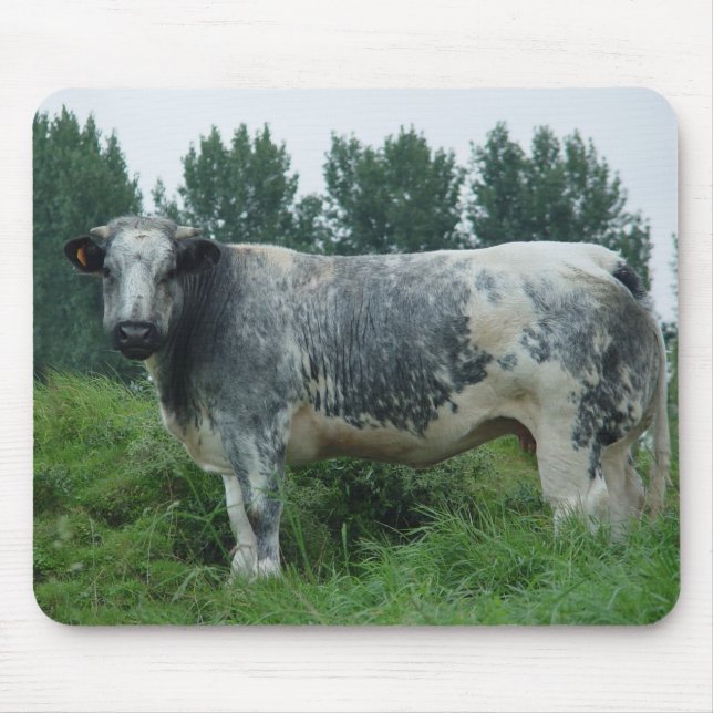 Cow Belgian Blue Mouse Mat (Front)