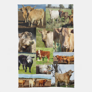 Cow Breeds Photo Collage, Tea Towel