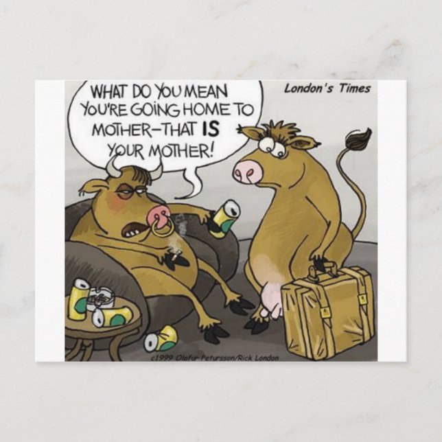 Cow Bull Divorce Funny Cartoon Gifts & Tees Postcard (Front)