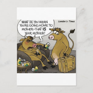 Cow Bull Divorce Funny Cartoon Gifts & Tees Postcard