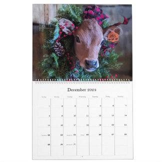 Cow & Calf Calendar from Chase's Organic Dairy