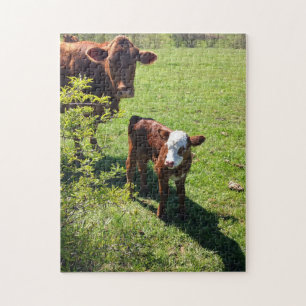 Cow & Calf Puzzle