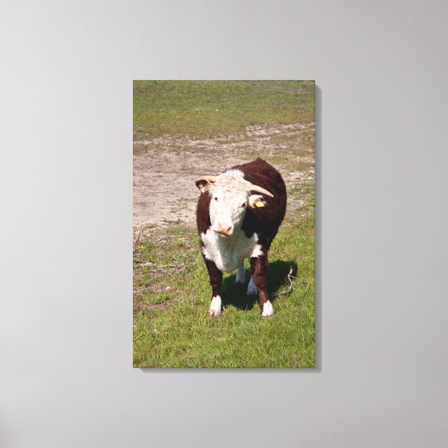 Cow canvas print (Front)