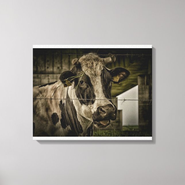 cow canvas print (Front)