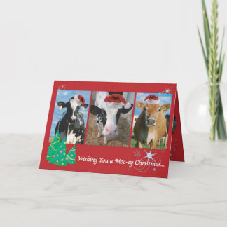 Cow/Cat Christmas Card 1.2