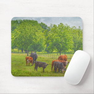 Cow Cattle Pasture Texas Farm Art Mouse Pad