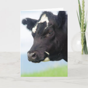 Cow Change of Address Card