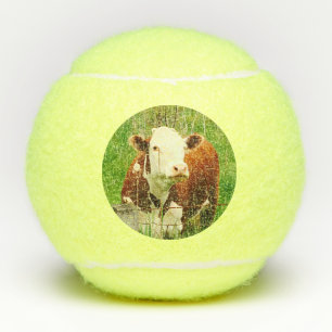 Cow Chicken Farm Animals 4Robin Tennis Balls