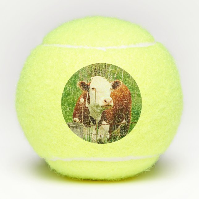 Cow Chicken Farm Animals 4Robin Tennis Balls (Front)