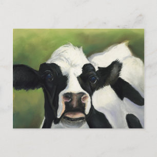 Cow Close-Up Art Postcard