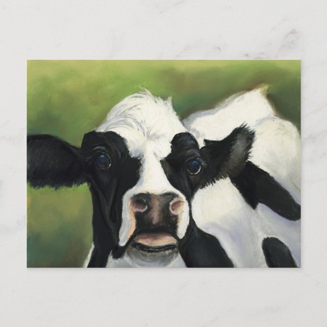 Cow Close-Up Art Postcard (Front)