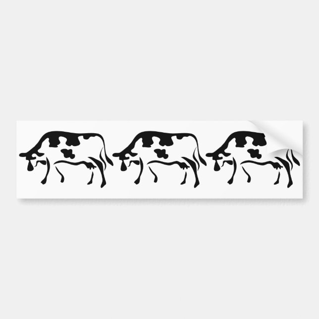 Cow, Cow, Cow Bumper Sticker (Front)