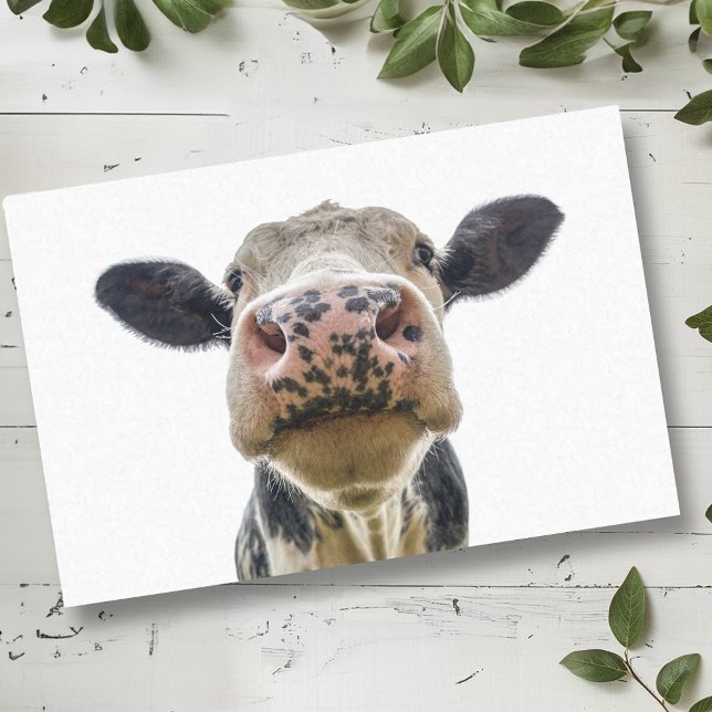 Cow Cute Farm Animal  Tissue Paper (Creator Uploaded)