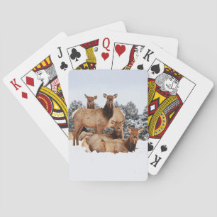 Cow Elk Bicycle Playing Cards