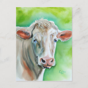 Cow face postcard
