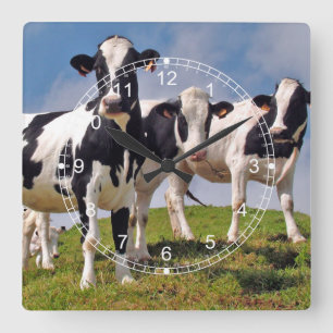 Cow Family Portrait Square Wall Clock