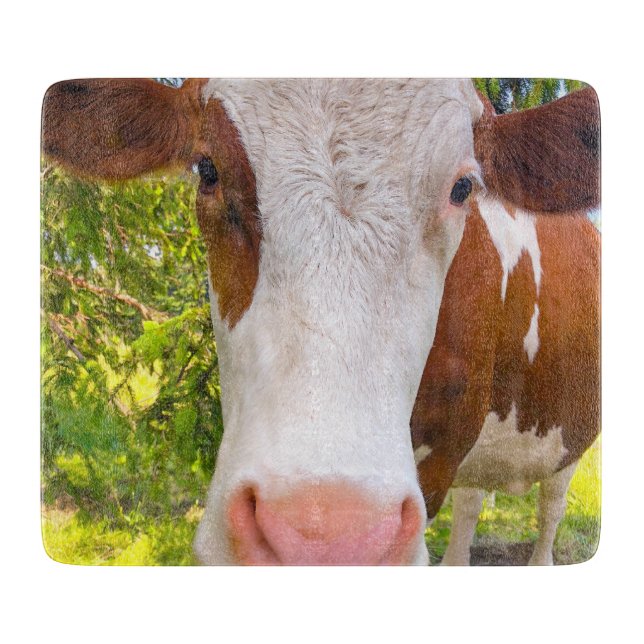 Cow Farm Animal Photo Cutting Board (Front)