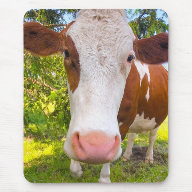 Cow Farm Animal Photo Mouse Mat (Front)