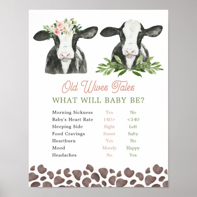 Cow Farm Gender Reveal Old Wives Tales Poster (Front)