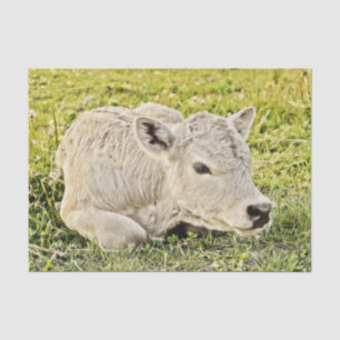 Cow Farm Rustic Country Decoupage Tissue Paper