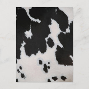 Cow fur postcard