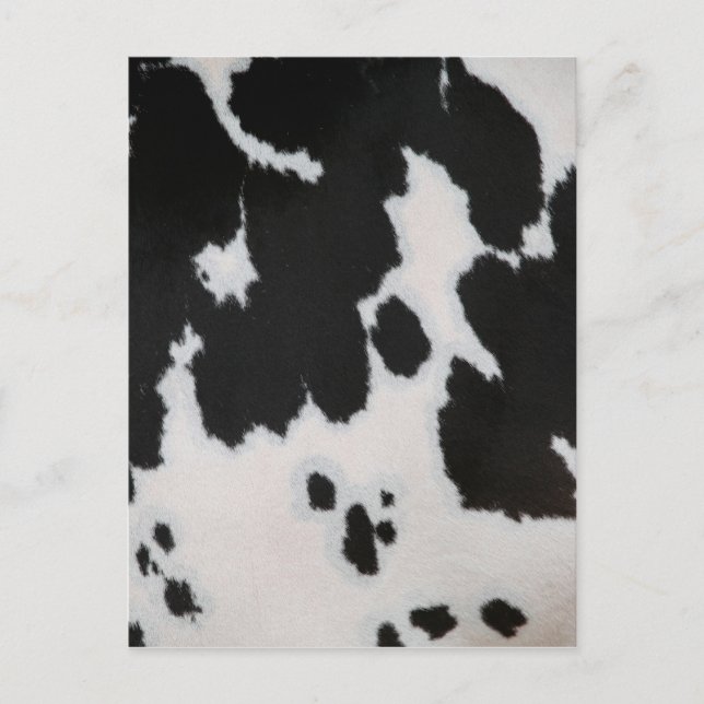 Cow fur postcard (Front)