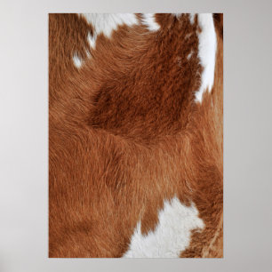 Cow Fur Poster