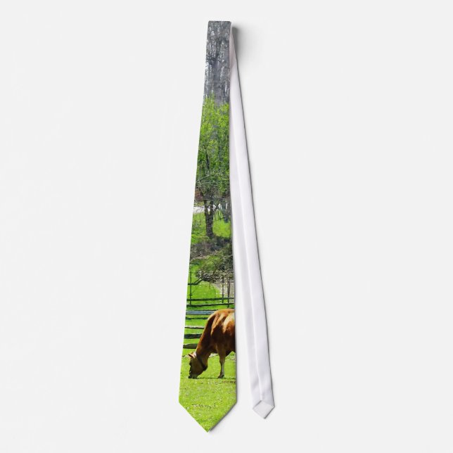 Cow Grazing in Pasture in Spring Tie (Front)