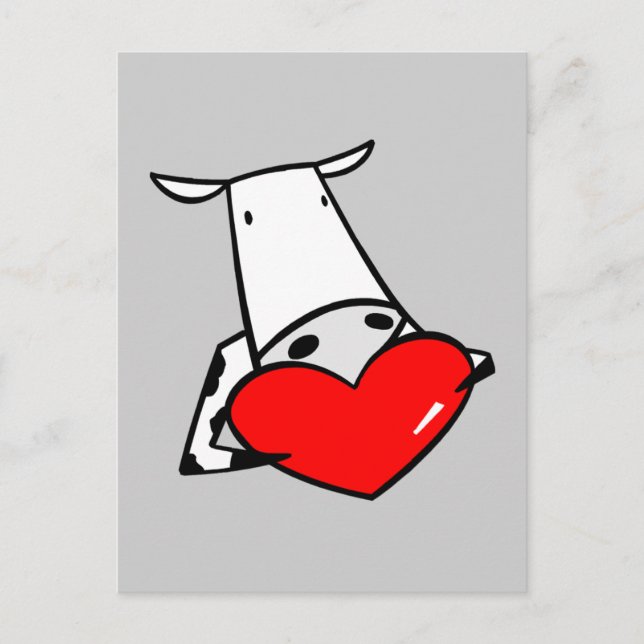 Cow Heart Valentine I Love Cows Holiday Postcard (Front)
