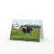 Cow Humour