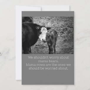 Cow Humour Card