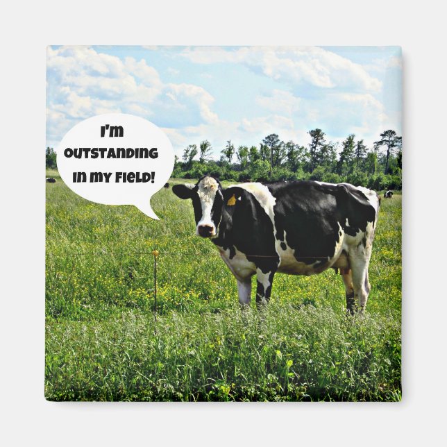 Cow Humour Magnet (Front)