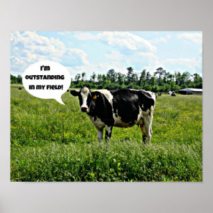 Cow Humour Poster