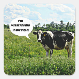 Cow Humour Square Sticker