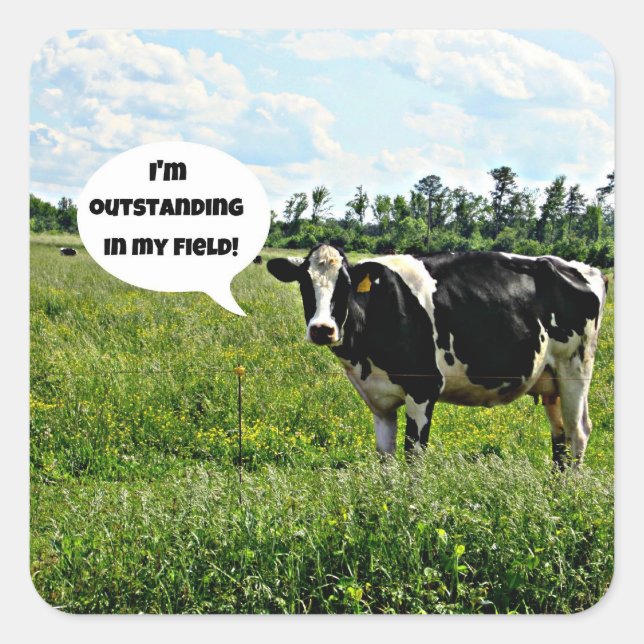Cow Humour Square Sticker (Front)