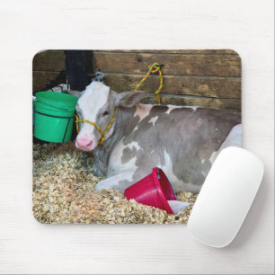 Cow In a Barn Pen with Buckets Mouse Mat