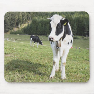 Cow In A Meadow, Fie Allo Sciliar, Alto Adige, Mouse Mat