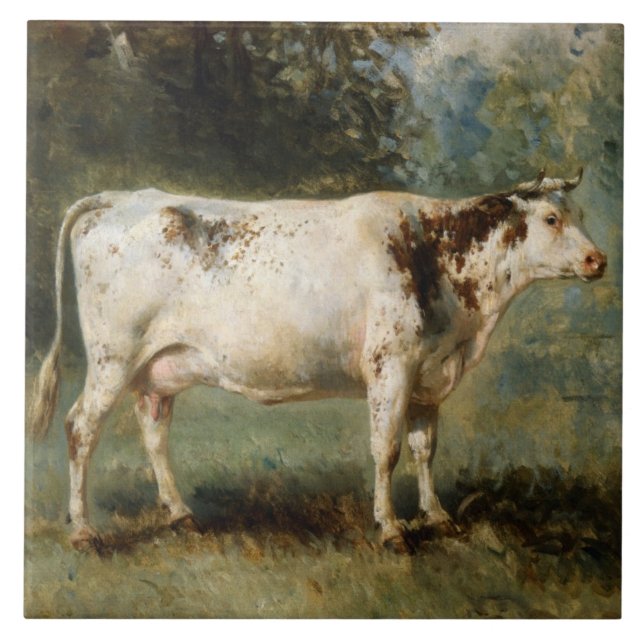 Cow in a Rural Landscape (Farm Animal) Tile (Front)