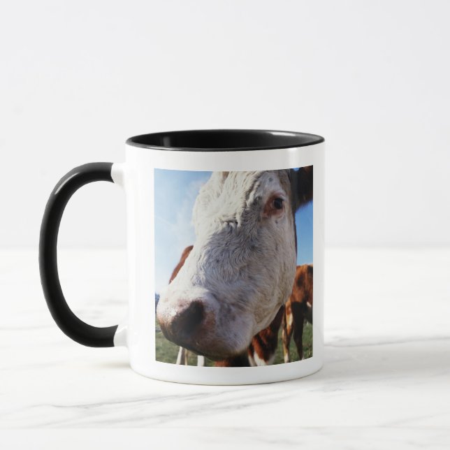 Cow in field, close-up mug (Left)