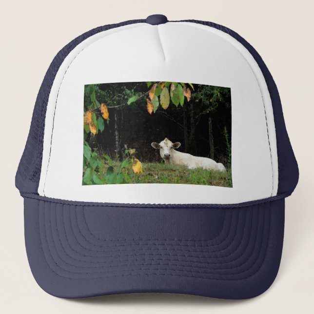 Cow in Pasture Trucker Hat (Front)