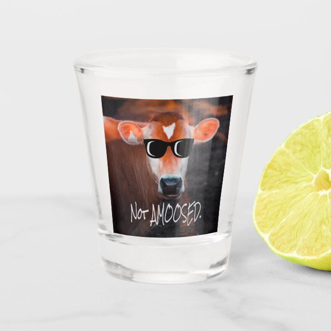 Cow in Sunglasses Not aMOOsed Cute Funny Shot Glass (Front)