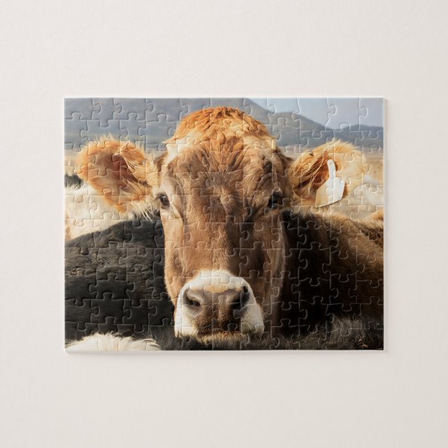 Cow Jigsaw Puzzle (Horizontal)