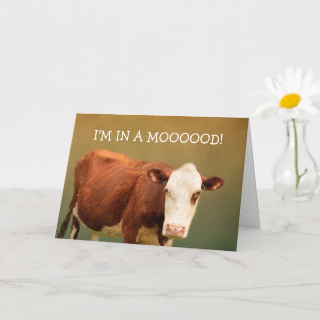 Cow Joke Happy Birthday Card (Small Plant)