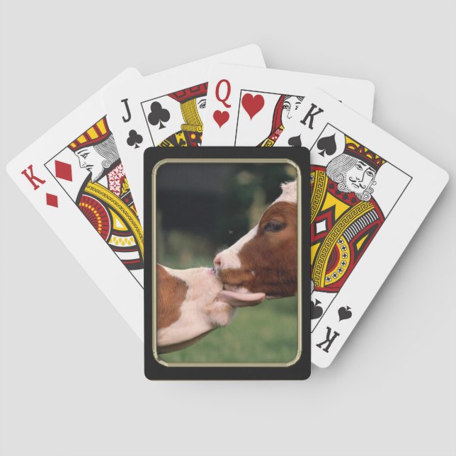 Cow Kisses Photo Art Playing Cards (Back)