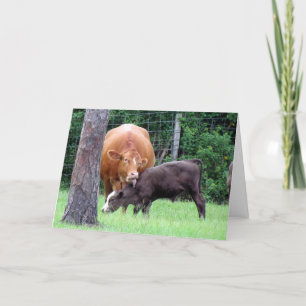 Cow Lick Mother's Day Card