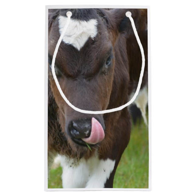 Cow Lick Small Gift Bag (Back)