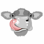 cow licking nose  photo sculpture key ring<br><div class="desc">You can TRANSFER this DESIGN to other Zazzle products. You can click CUSTOMIZE FURTHER to add, ajust, delete or change details like the background color or text. The designs are made in high-resolution vector graphics for a professional print. Thank you for choosing my designs and stopping by store Pedro Vale....</div>