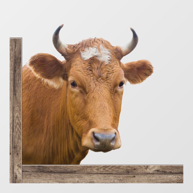 Cow Looking In or Out of Window Window Cling (Sheet)